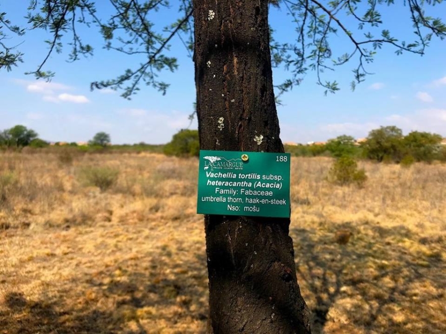 Commercial Property for Sale in La Camargue Private Country Estate North West